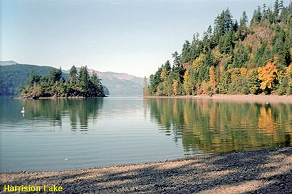 Harrision Lake at Sasquatch Provincial Park, BC, Canada