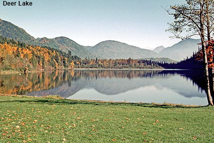  Deer Lake, Sasquatch Provincial Park, BC, Canada