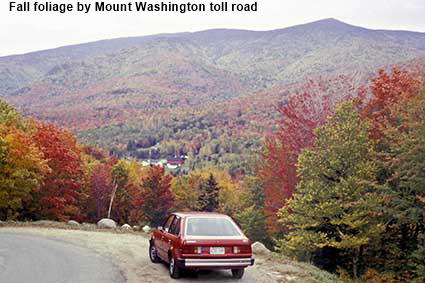  Fall foliage by Mount Washington toll road, NH, USA