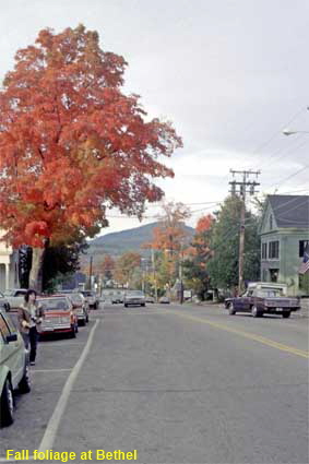  Fall foliage at Bethel, Maine, USA