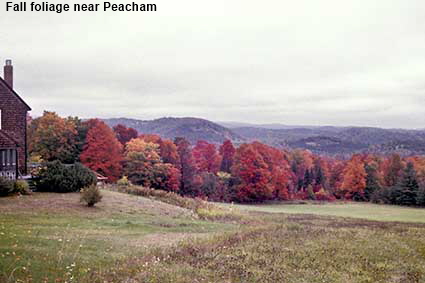  Fall foliage near Peacham, VT, USA