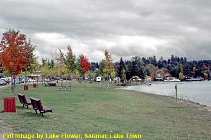  Fall foliage by Lake Flower, Saranac Lake town, NY, USA