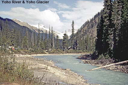 Yoho River & Yoho Glacier, Yoho National Park, BC, Canada Yoho River & Yoho Glacier, Yoho National Park, BC, Canada