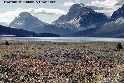  Crowfoot Mountain & Bow Lake, Alberta, Canada