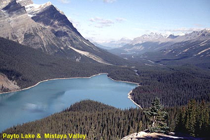  Payto Lake &  Mistaya Valley, Alberta, Canada
