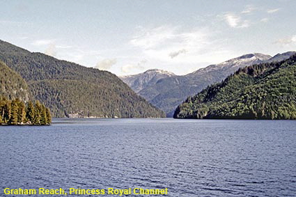  Graham Reach, Princess Royal Channel, Inside Passage from 'Queen of Prince Rupert' ferry, BC, Canada