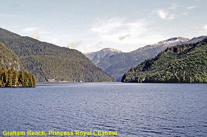  Graham Reach, Princess Royal Channel, Inside Passage from 'Queen of Prince Rupert' ferry, BC, Canada