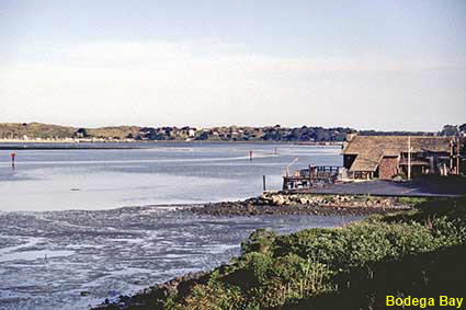  Bodega Bay, CA, USA