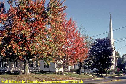  Fall foliage by Camden Congregational Church, ME, USA