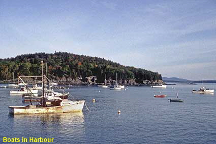  Boats in harbour, Bar Harbor, ME, USA