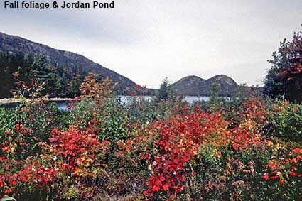  Fall foliage & Jordan Pond, Acadia National Park, ME, USA