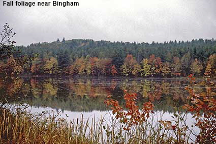  Fall foliage by lake near Bingham, ME, USA