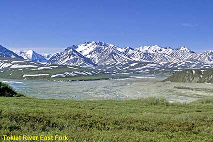 Toklat River East Fork, Denali National Park, AK, USA