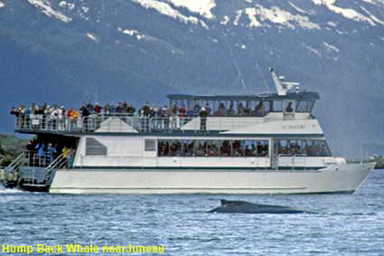 Hump Back Whale & tour boat from boat trip out of Juneau, AK, USA