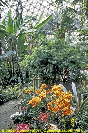  Bloedel Conservatory, Queen Elizabeth Park, Vancouver, BC, Canada