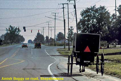 Amish Buggy on road, Shepshewana, IN, USA
