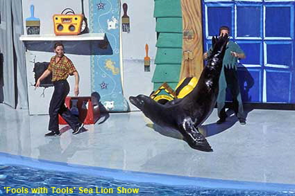 'Fools with Tools' Sea Lion show, Sea World, San Diego, CA, USA  'Fools with Tools' Sea Lion show, Sea World, San Diego, CA, USA