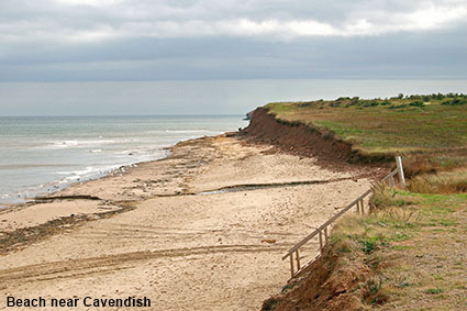 Prince Edward Island National Park near Cavendish, PEI, Canada