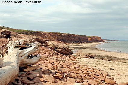 Prince Edward Island National Park near Cavendish, PEI, Canada