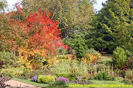  Fall foliage & garden ponds, Historic Gardens, Annapolis Royal, NS, Canada