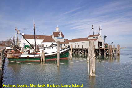  Fishing boats, Montauk Harbor, Long Island, NY, USA