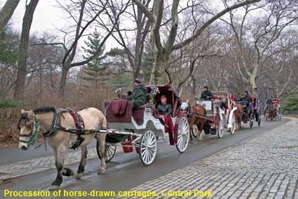  Procession of horse-drawn carriages, Central Park, New York, NY, USA