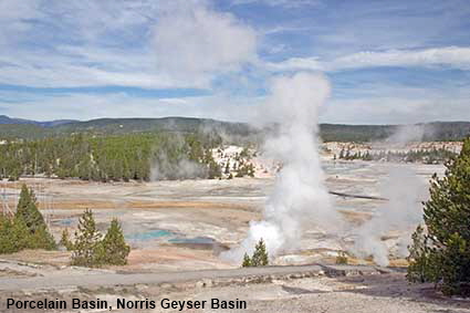  Porcelain Basin, Norris Geyser Basin, Yellowstone National Park, WY, USA