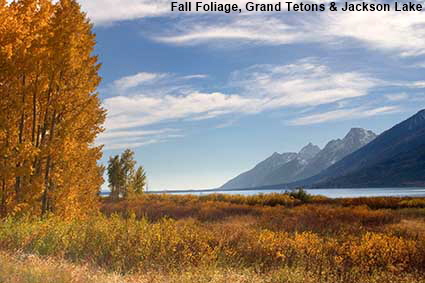  Fall Foliage, Grand Tetons & Jackson Lake,  Grand Teton National Park, WY, USA