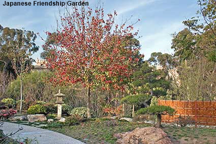 Japanese Friendship Garden, Balboa Park, San Diego, CA, USA  Japanese Friendship Garden, Balboa Park, San Diego, CA, USA
