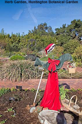 Herb Garden, Huntington Botanical Garden, Los Angeles, CA, USA  Herb Garden, Huntington Botanical Garden, Los Angeles, CA, USA