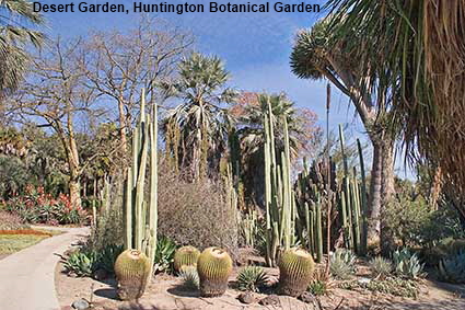 Desert Garden, Huntington Botanical Garden, Los Angeles, CA, USA  Desert Garden, Huntington Botanical Garden, Los Angeles, CA, USA