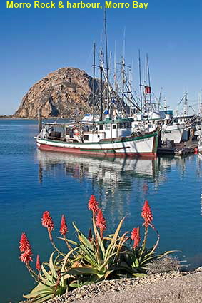  Harbour & Morro Rock, Morro Bay, CA, USA