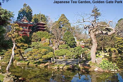  Japanese Tea Garden, Golden Gate Park, San Francisco, CA, USA