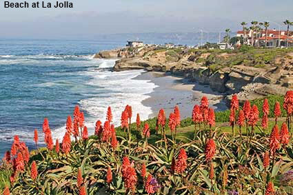  Beach at La Jolla, San Diego, CA, USA