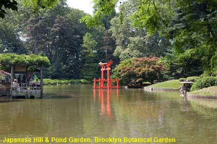 Japanese Hill & Pond Garden, Brooklyn Botanical Garden, Brooklyn, NYC, NY, USA