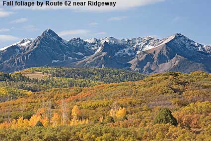  Fall foliage by Route 62 near Ridgeway, CO, USA