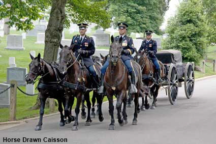  Horse Drawn Caisson, Arlington National Cemetery, VA, USA