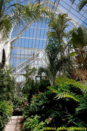 Interior of Conservatory, Biltmore House, Asheville, NC, USA Interior of Conservatory, Biltmore House, Asheville, NC, USA