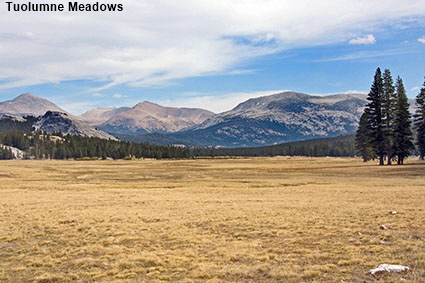  Tuolumne Meadows, Yosemite National Park, CA, USA
