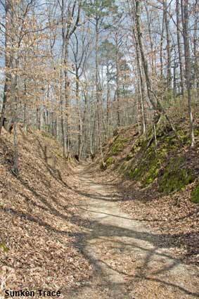 Sunken Trace, Natchez Trace Parkway, MS, USA Sunken Trace, Natchez Trace Parkway, MS, USA