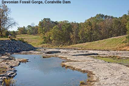 Devonian Fossil Gorge, Coralville Dam, IA, USA