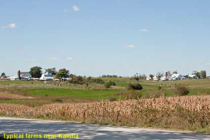 Typical farms near Kalona, IA, USA