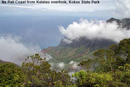  Na Pali Coast from Kalalau overlook, Kokee State Park, Kauai, HI, USA