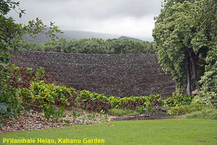  Pi'ilanihale Heiau, Kahanu Garden, Maui, HI, USA