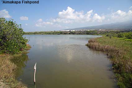  'Aimakapa Fishpond, Kaloko-Honokohau NHP, Hawaii , HI, USA