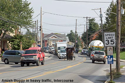 Amish Buggy in heavy traffic, Intercourse, PA, USA