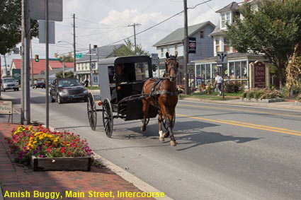 Amish Buggy, Main St, Intercourse, PA, USA