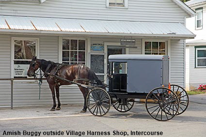 Amish Buggy outside Village Harness Shop, Intercourse, PA, USA