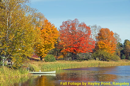 Fall Foliage by Hayley Pond, Rangeley, ME, USA