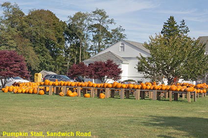 Pumpkin Stall, Sandwich Road, Bourne, MA, USA